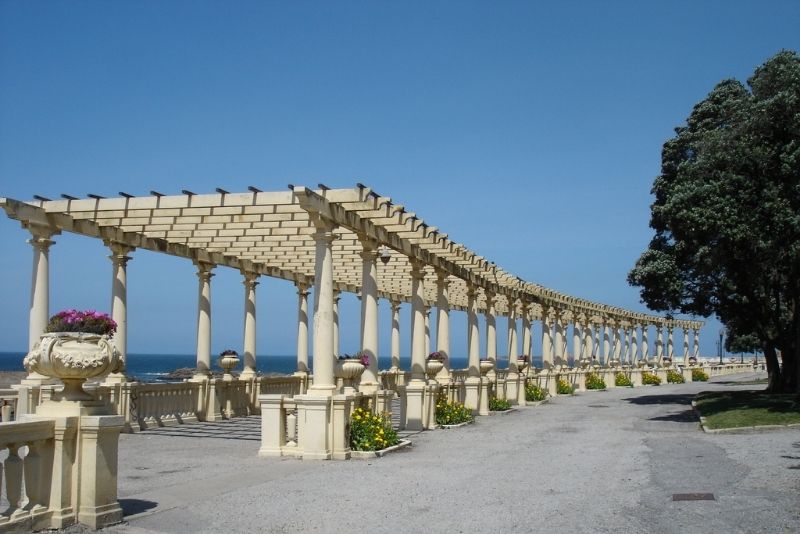 garden pergola timber