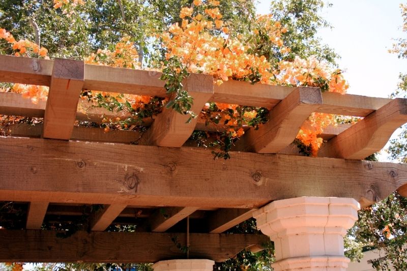 wooden roofed pergola