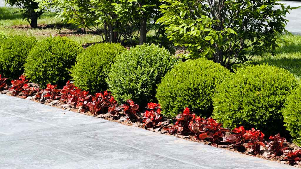 total care landscaping